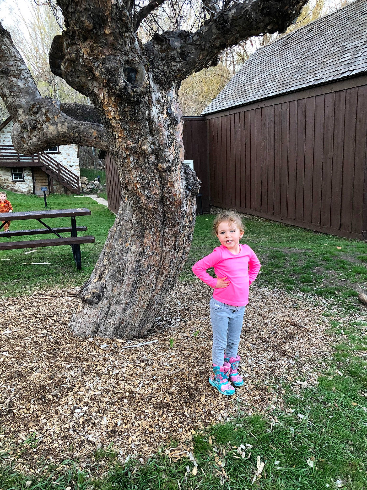 Mckynlie joined the competition — help win amazing prizes! branch, child, fun, garden, grass, joy, leaf, leisure, people_in_nature, person, plant, play, spring, toddler, tree, trunk, woody_plant