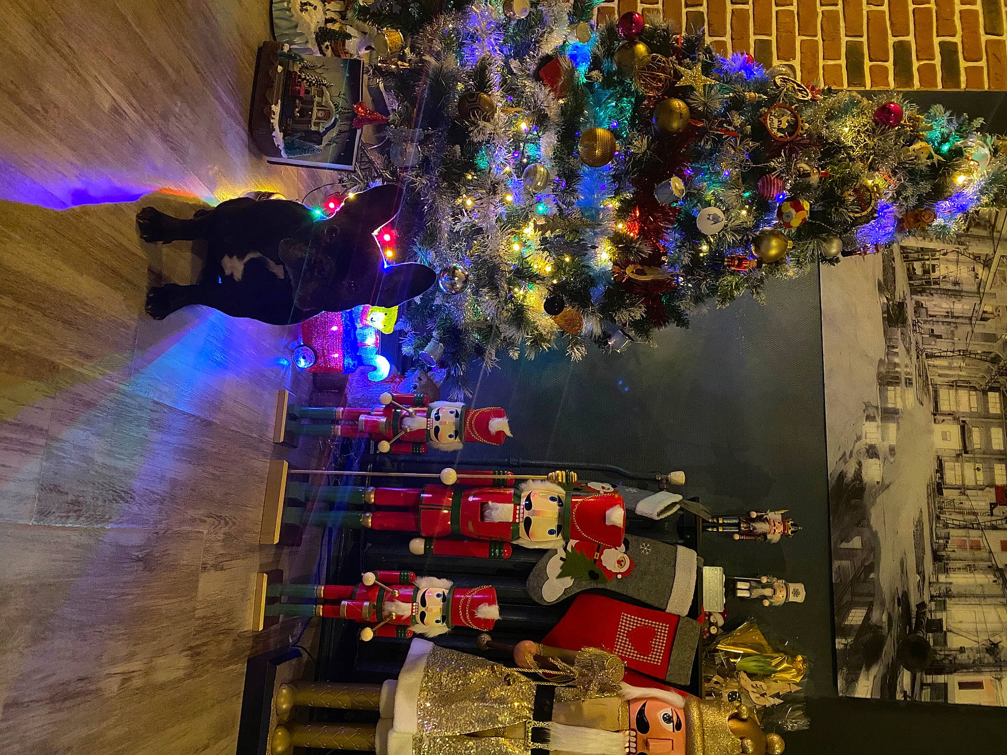 Jy a rejoint le concours — aidez-le/la à gagner de superbes lots ! art, building, christmas_ornament, christmas_tree, city, electric_blue, event, fun, holiday, house, light, lighting, magenta, ornament, plant, purple, room, space, tree, window