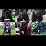 animal, ball, boxer, bulldog, canine, dog, frenchbulldog, grass, hound, labradorretriever, pet, pitbull, plant, pug, puppy, sphere, sport, tennis, tennisball, text
