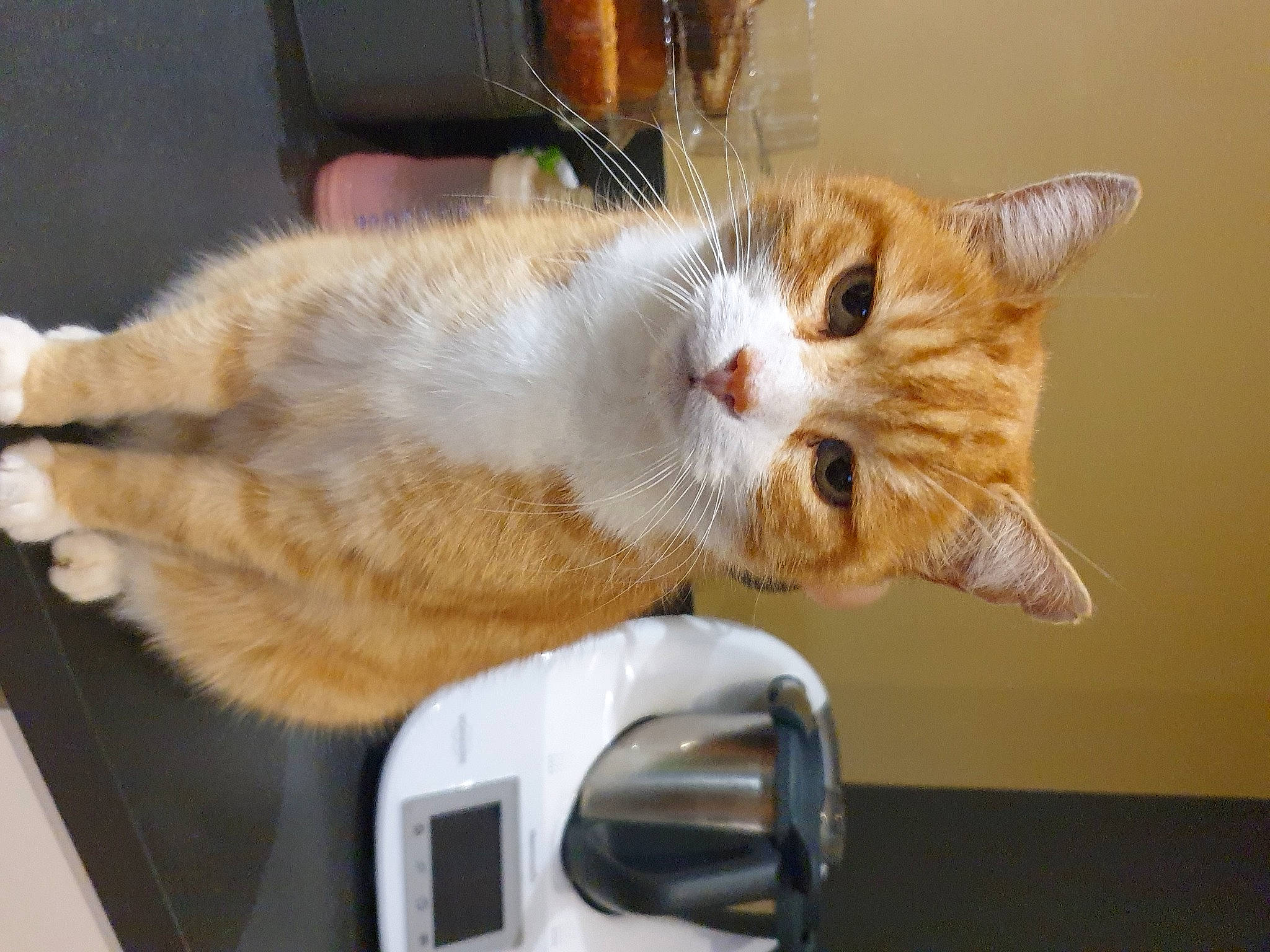 Caramel