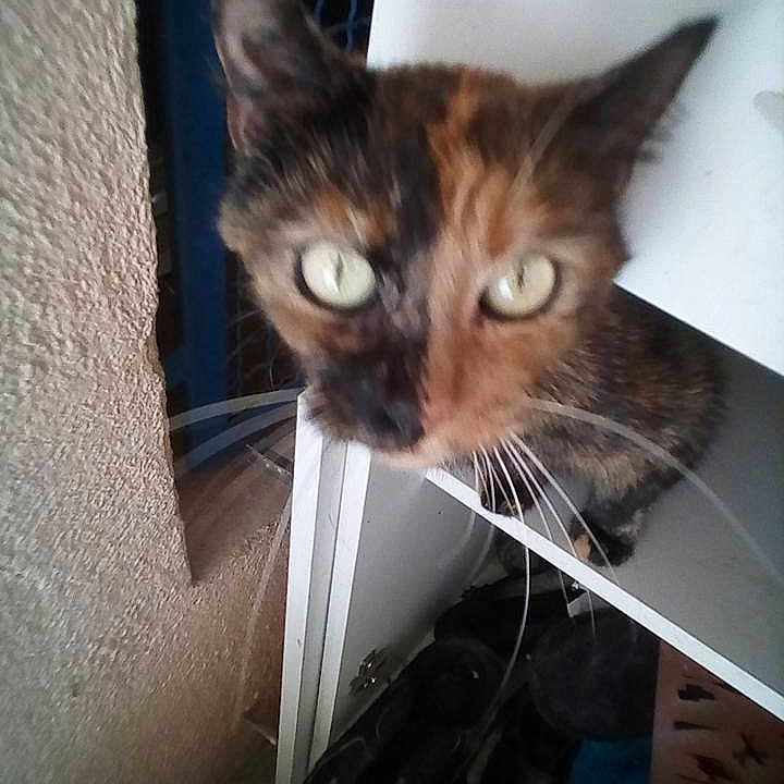 Tina