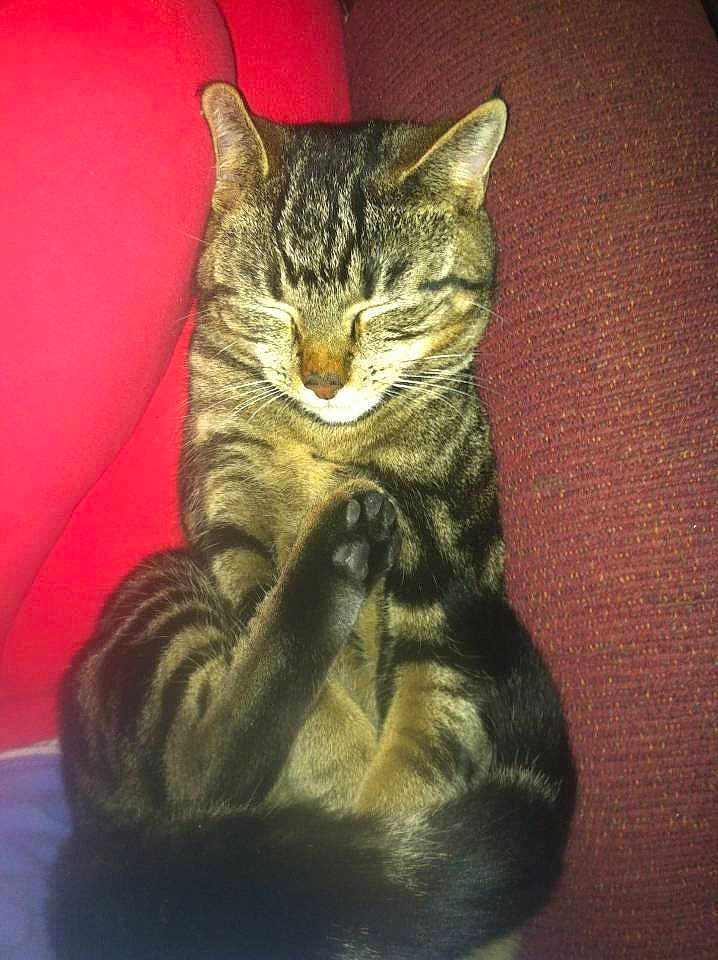 Sir Piper
