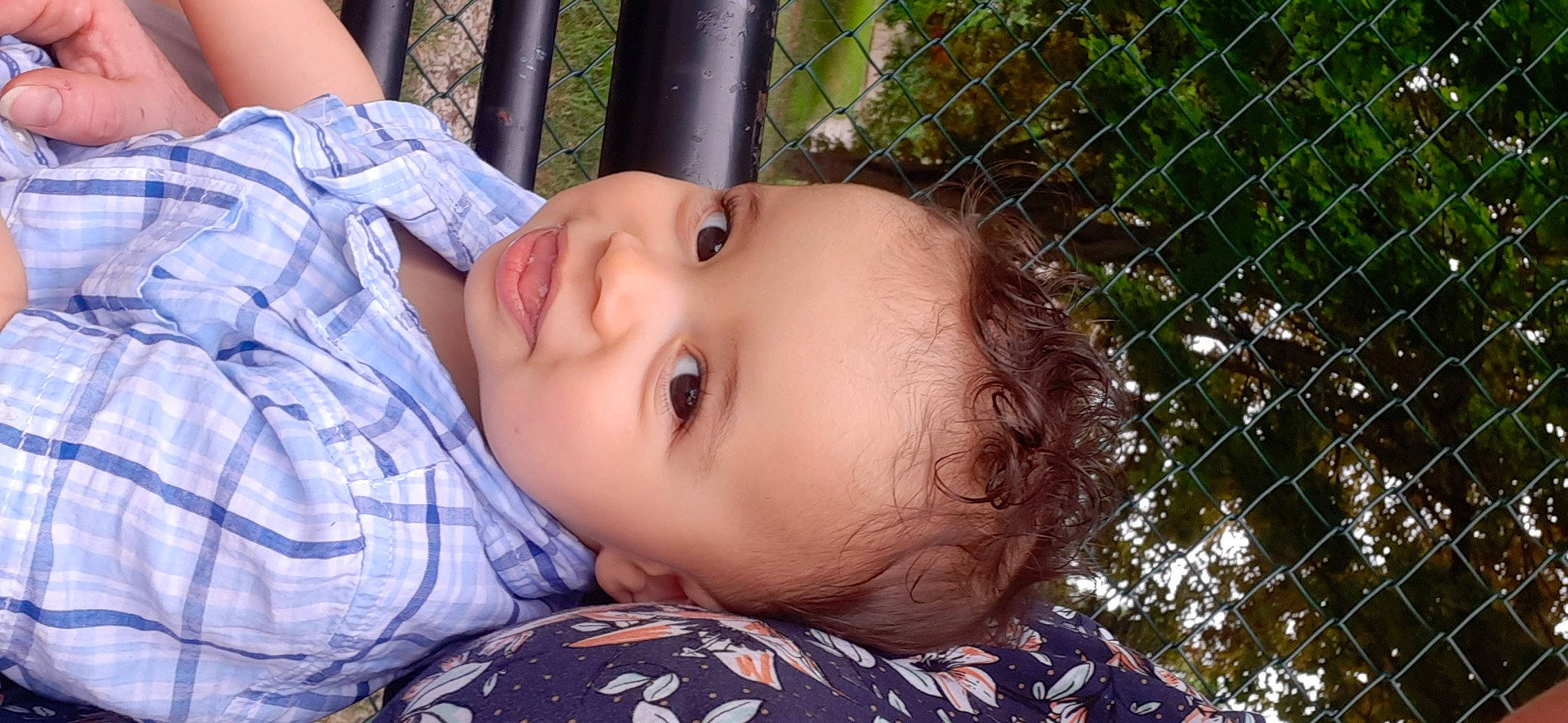 Aimé a rejoint le concours — aidez-le/la à gagner de superbes lots ! cheek, eye, eyebrow, eyelash, face, fence, forehead, grass, happy, iris, leisure, lip, mesh, mouth, nose, person, plant, skin, smile, toddler