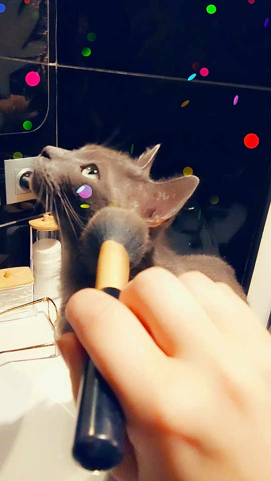 Gribouille