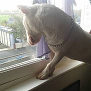 Ice a rejoint le concours — aidez-le/la à gagner de superbes lots !