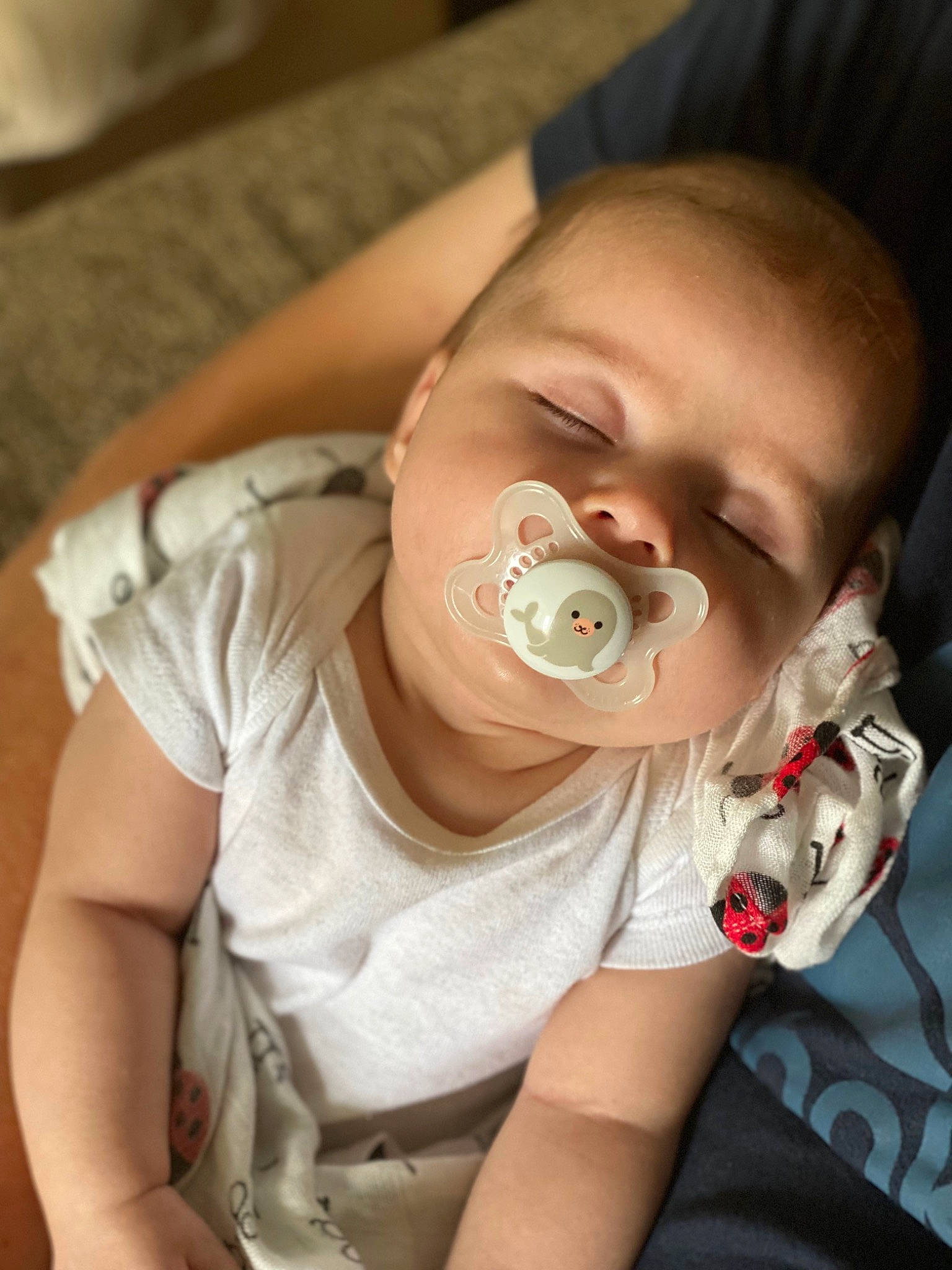 Mattie joined the competition — help win amazing prizes! arm, baby, baby_toddler_clothing, cheek, chin, comfort, ear, eye, eyebrow, eyelash, happy, head, human_body, iris, lip, mouth, neck, nose, person, skin