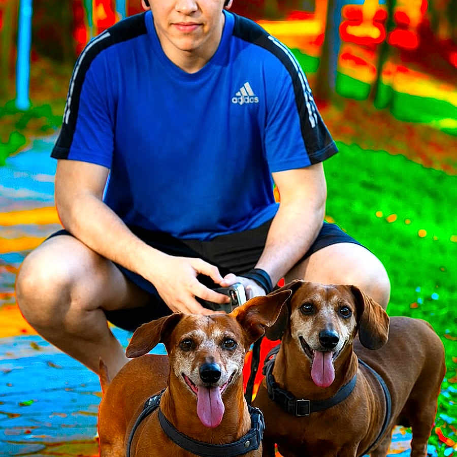 Jack Et Logan a rejoint le concours — aidez-le/la à gagner de superbes lots ! man, dog, dachshund, outdoor, path, forest, greenery, blue_shirt, happy, pet, animal, leash, tongue_out, summer, casual_clothing, crouching, portrait, daylight, nature, smiling