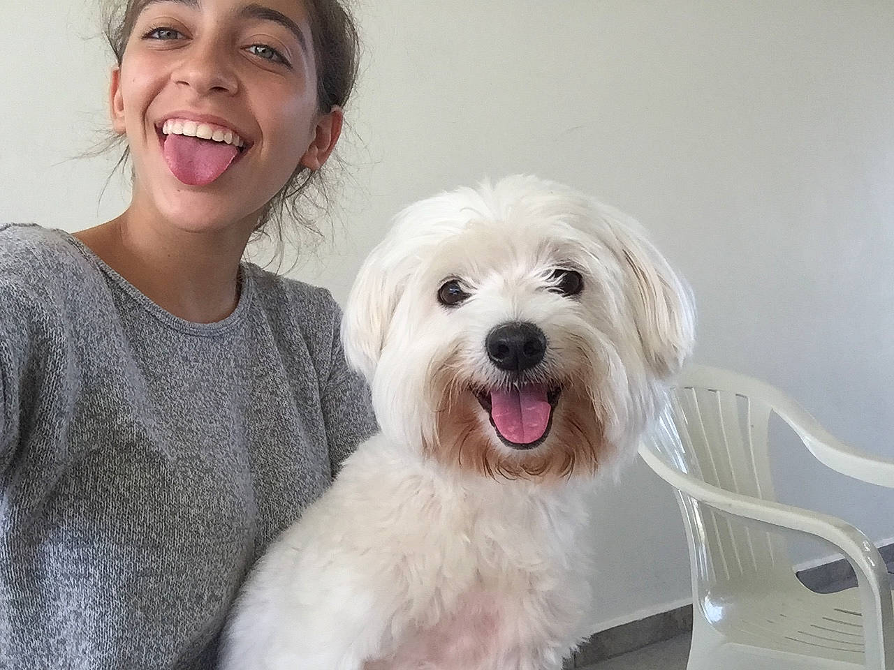 Bolt joined the competition — help win amazing prizes! canidae, carnivore, chair, child, companion_dog, dog, dog_breed, facial_expression, fur, happy, mal_shi, maltepoo, non_sporting_group, sitting, small_terrier, smile, snout, sporting_group, toy_dog, working_animal