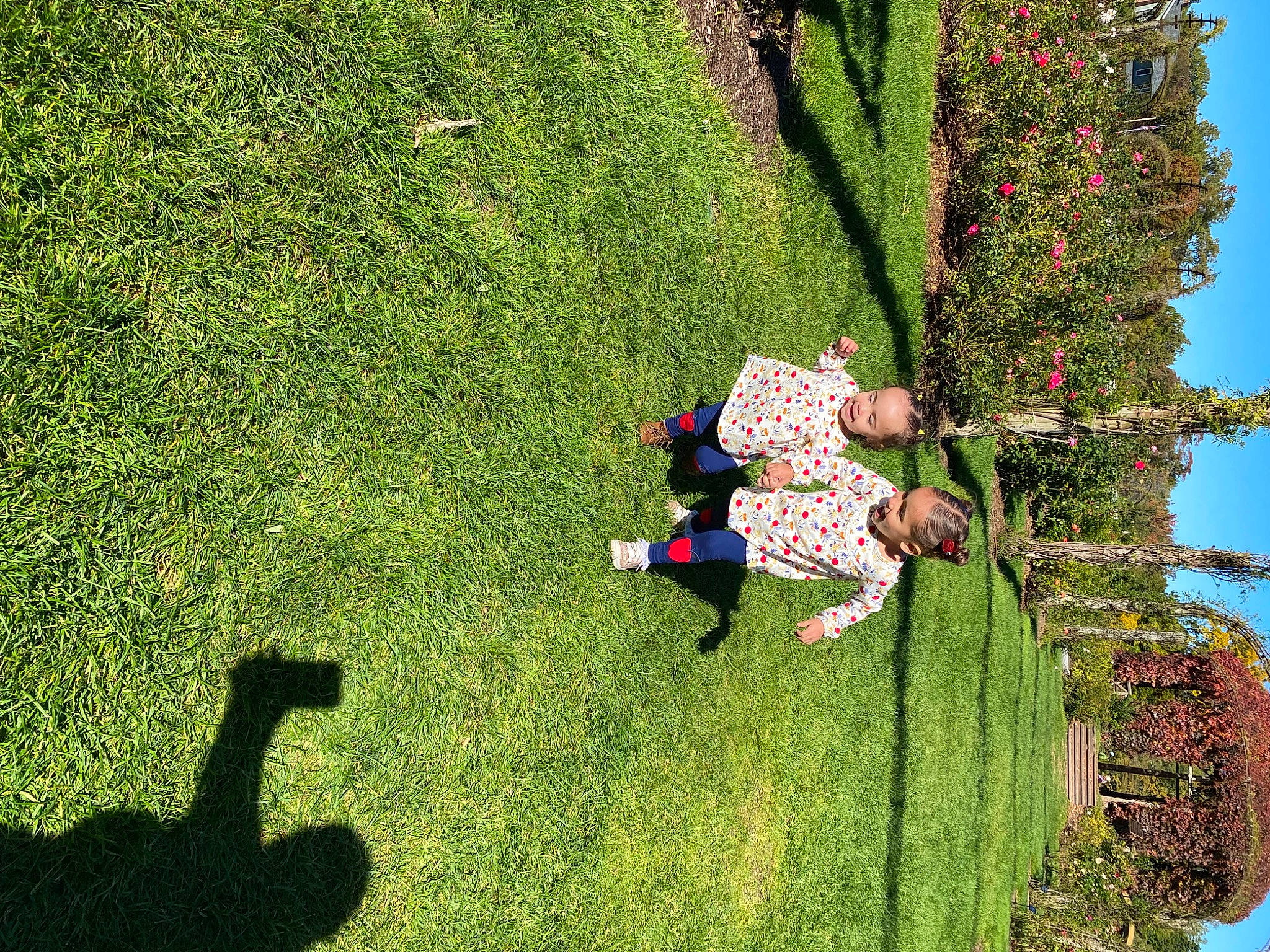 Melani is registered to the contest to win money with this photo: biome, flower, fun, grass, grass_family, grassland, green, groundcover, landscape, lawn, leaf, leisure, meadow, people_in_nature, person, plant, recreation, shrub, sky, tree