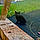 Berlioz