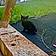 Berlioz
