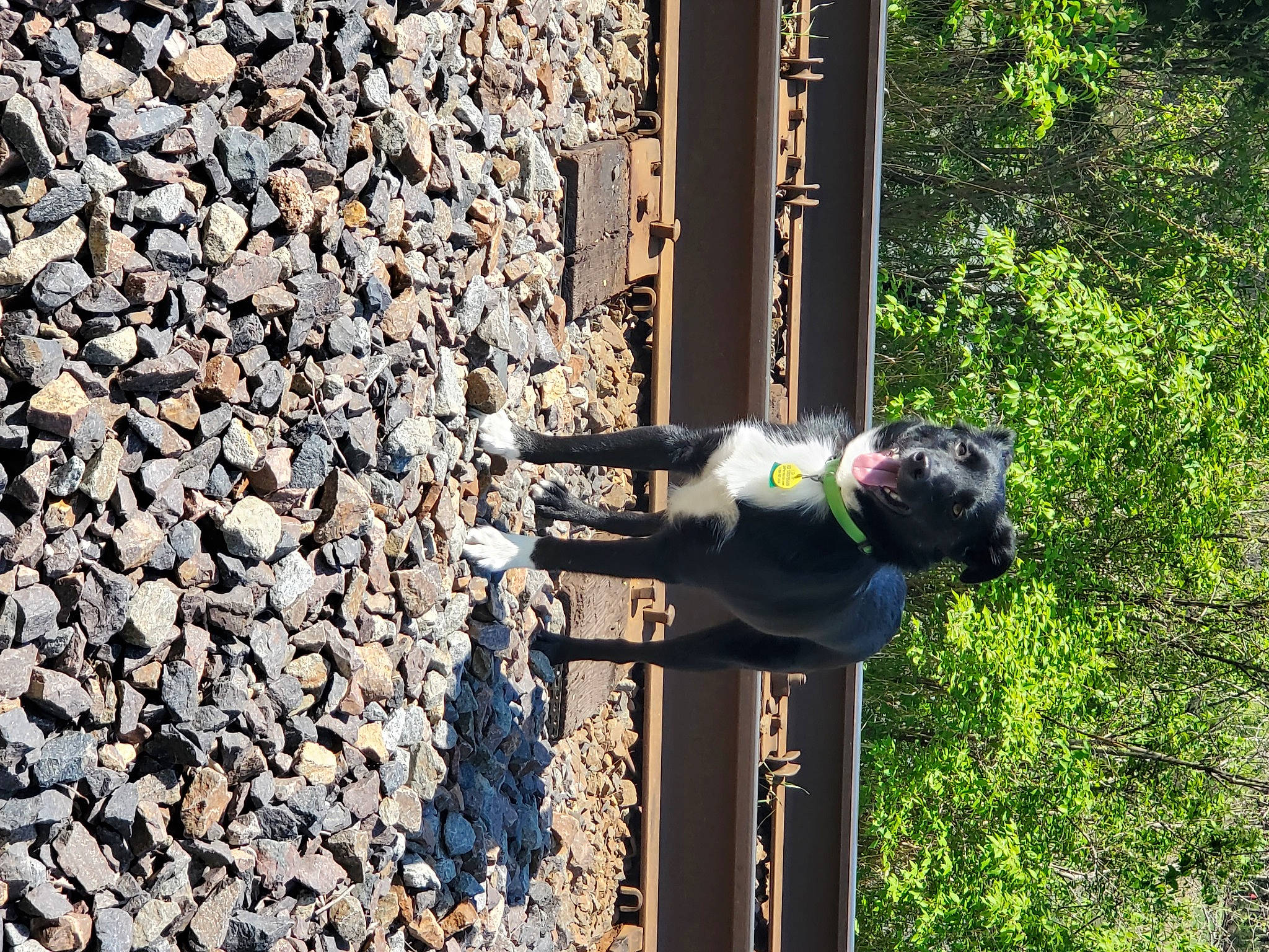 Austin is registered to the contest to win money with this photo: