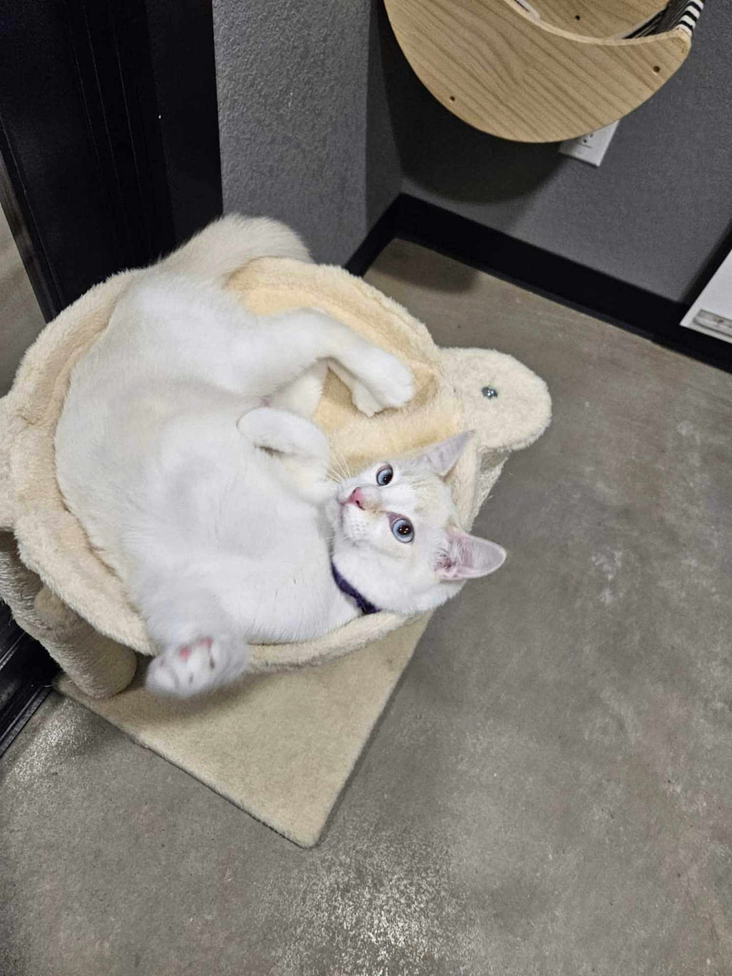 Max