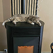 Miya a rejoint le concours — aidez-le/la à gagner de superbes lots ! cat, tabby_cat, stove, fireplace, indoor, cozy, warm, relaxed, feline, pet, animal, floor, tile_floor, wall, wooden_slats, fairy_lights, power_outlet, home, domestic, resting