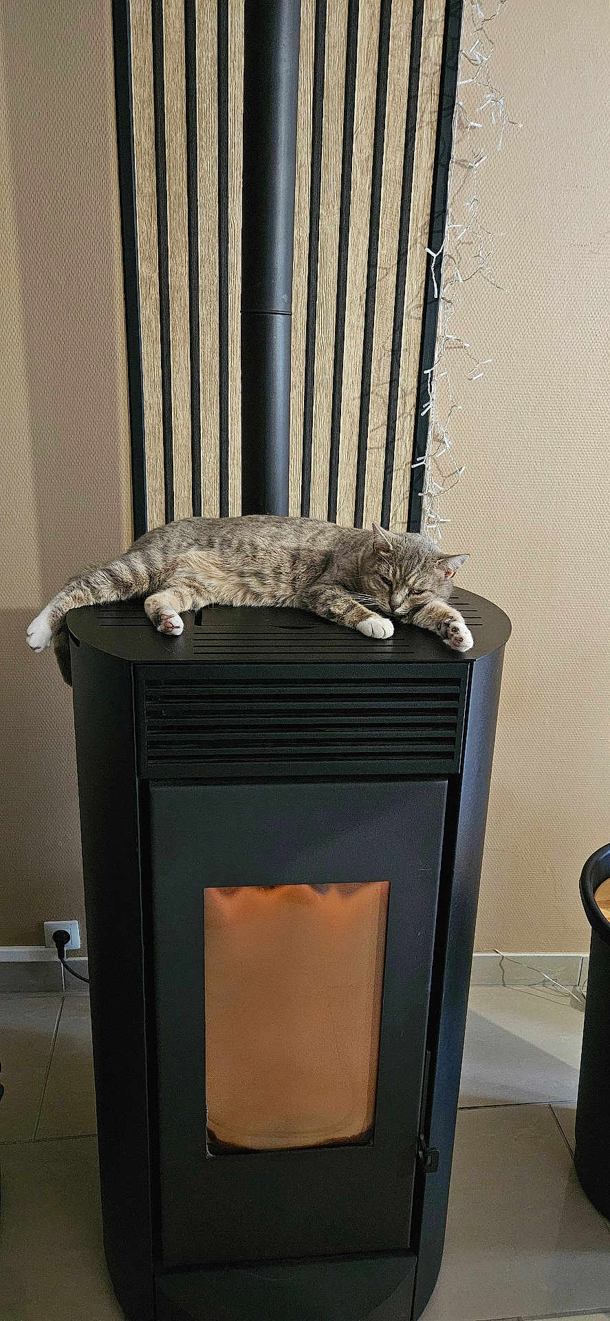Miya a rejoint le concours — aidez-le/la à gagner de superbes lots ! cat, tabby_cat, stove, fireplace, indoor, cozy, warm, relaxed, feline, pet, animal, floor, tile_floor, wall, wooden_slats, fairy_lights, power_outlet, home, domestic, resting