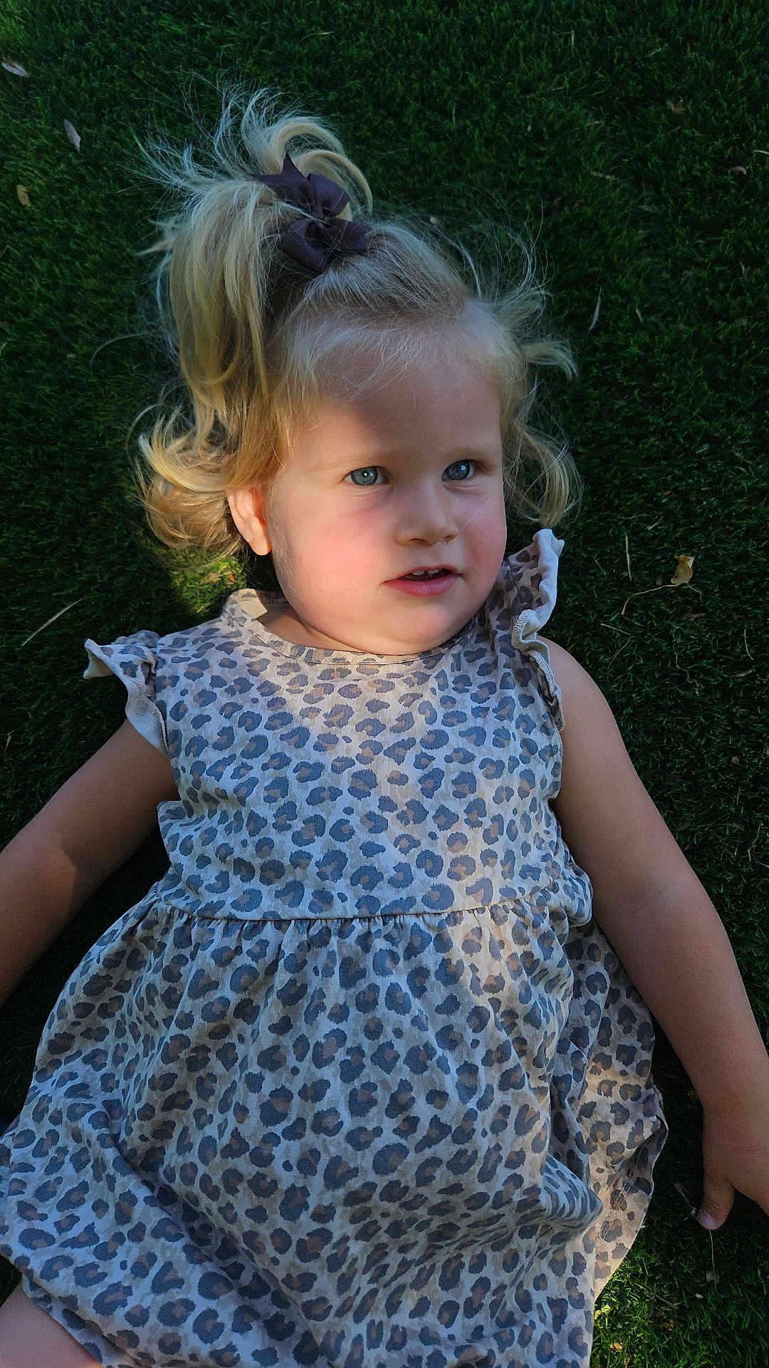 Eva participe au concours pour gagner de l'argent avec cette photo : child, girl, pony_tail, bow, leopard_print_dress, grass, outdoor, sunlight, shadow, cute, blonde_hair, young_child, curious, thoughtful, casual_clothing, nature, portrait, daylight, relaxed, lying_down