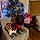 Rocky And Kong