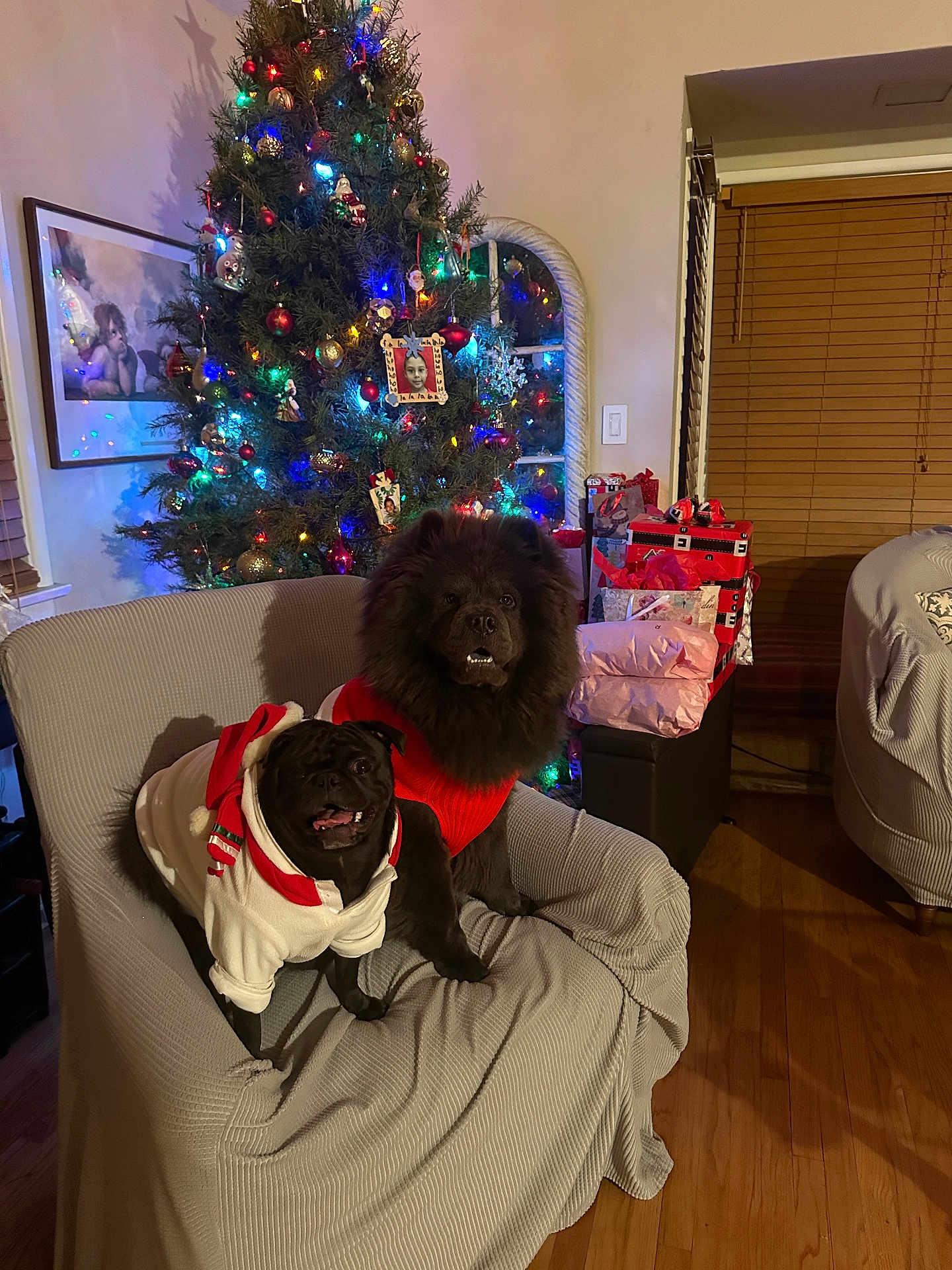 Rocky And Kong