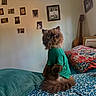 animal, bed, brown_cat, cat, cozy, cute, decor, floral_blanket, furniture, furry, green_shirt, guitar, home, indoor, pet, pillows, portrait, relaxed, sitting, wall_photos