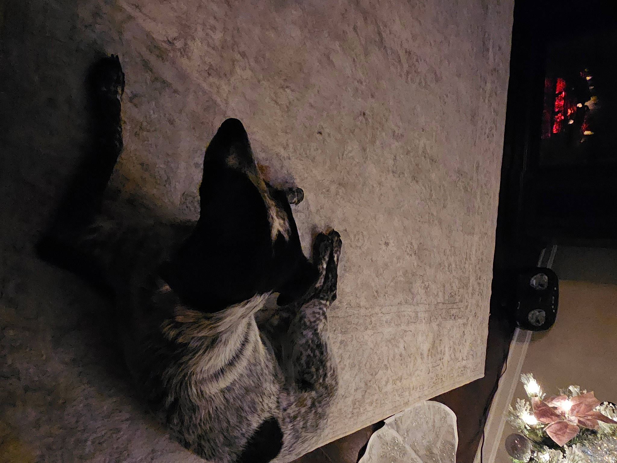 Pepper joined the competition — help win amazing prizes! art, carmine, darkness, flower, foot, houseplant, human_leg, outdoor_shoe, plant, rock, room, sculpture, shadow, statue, still_life_photography, tints_and_shades, tree, visual_arts, water, wood