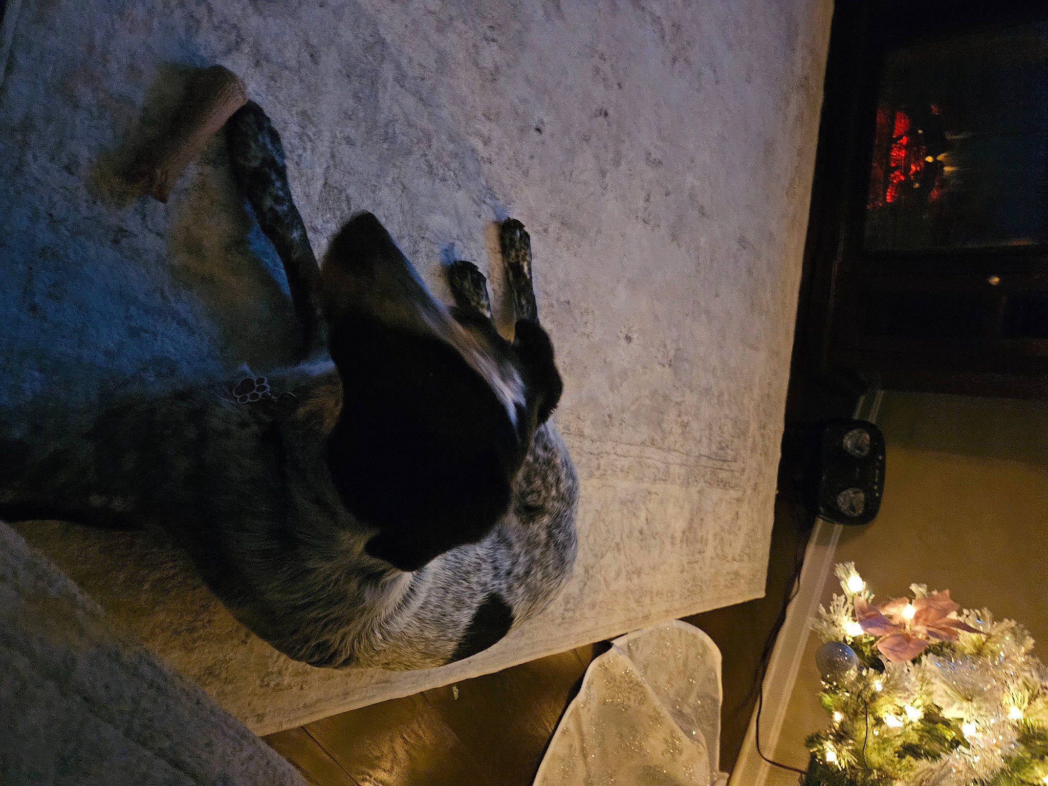 Pepper joined the competition — help win amazing prizes! art, concrete, fawn, flower, foot, human_leg, monument, plant, rock, sculpture, snout, sporting_group, statue, terrestrial_animal, visual_arts, wood, working_animal