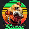 Kyaos joined the competition — help win amazing prizes! animal, black_background, brown_and_white, bulldog, canine, close_up, collar, colorful, dog, face, graphic_design, head, outdoor_style, pet, portrait, rainbow, retro, stars, sunset, wrinkles