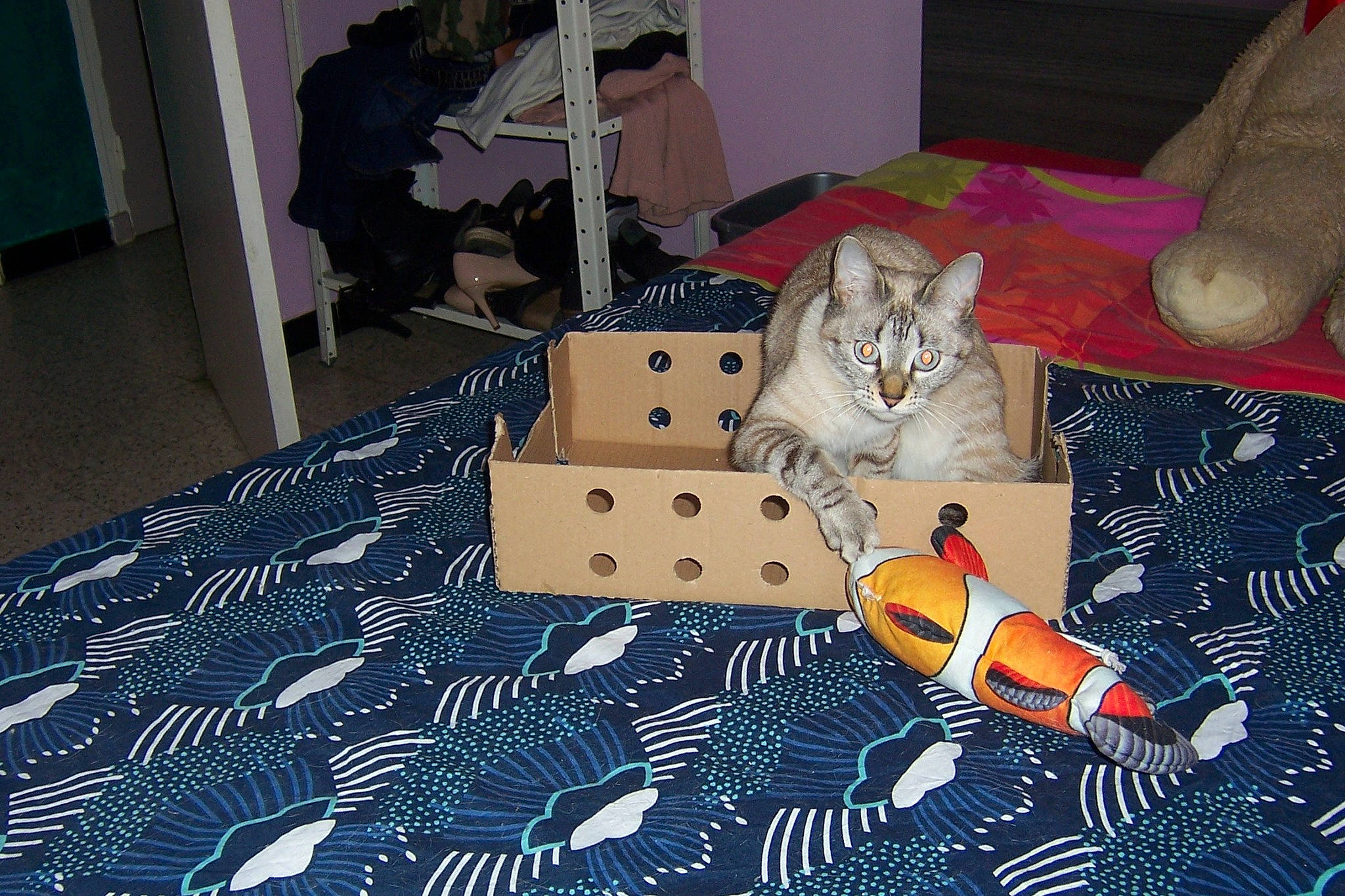 Nala a rejoint le concours — aidez-le/la à gagner de superbes lots ! carmine, carnivore, carpet, cat, chair, comfort, couch, domestic_short_haired_cat, felidae, floor, flooring, fur, living_room, pattern, room, small_to_medium_sized_cats, tail, textile, toy, whiskers