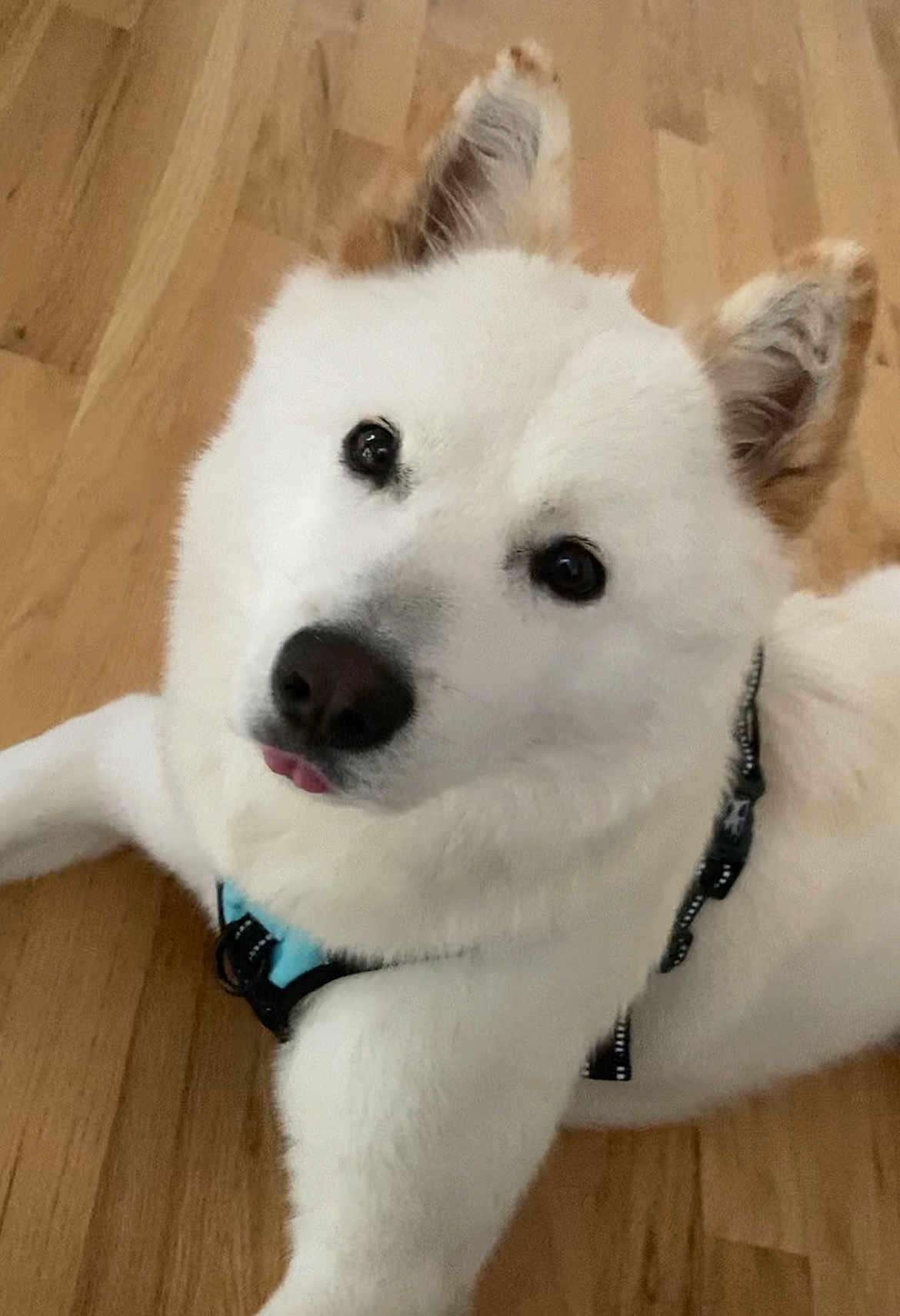 Benson