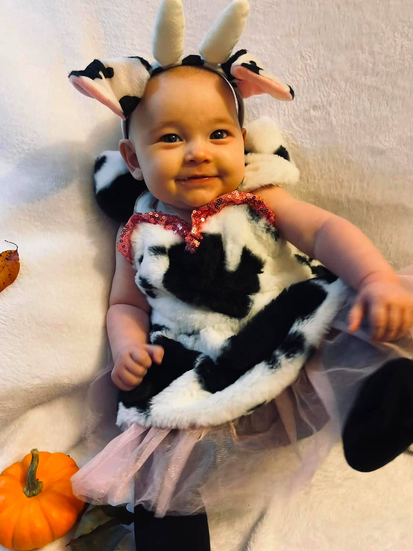 Lilliana joined the competition — help win amazing prizes! art, baby_toys, calabaza, child, cucurbita, doll, fashion_accessory, figurine, fur, gourd, happy, human_body, joy, person, plush, pumpkin, squash, stuffed_toy, tail, toy