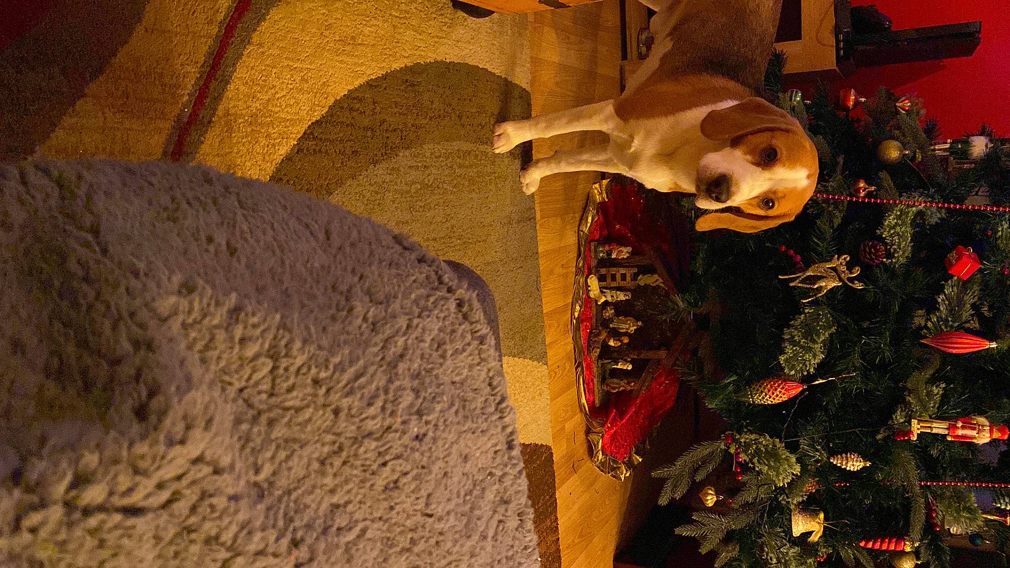 Copper is registered to the contest to win money with this photo: anthropology, art, bone, carmine, carving, event, facade, fawn, landscape, rock, room, shadow, skeleton, skull, still_life_photography, tints_and_shades, tourist_attraction, visual_arts, wall, wood