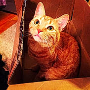 Chloe joined the competition — help win amazing prizes!
