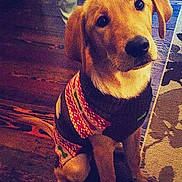 Clyde is registered to the contest to win money with this photo: