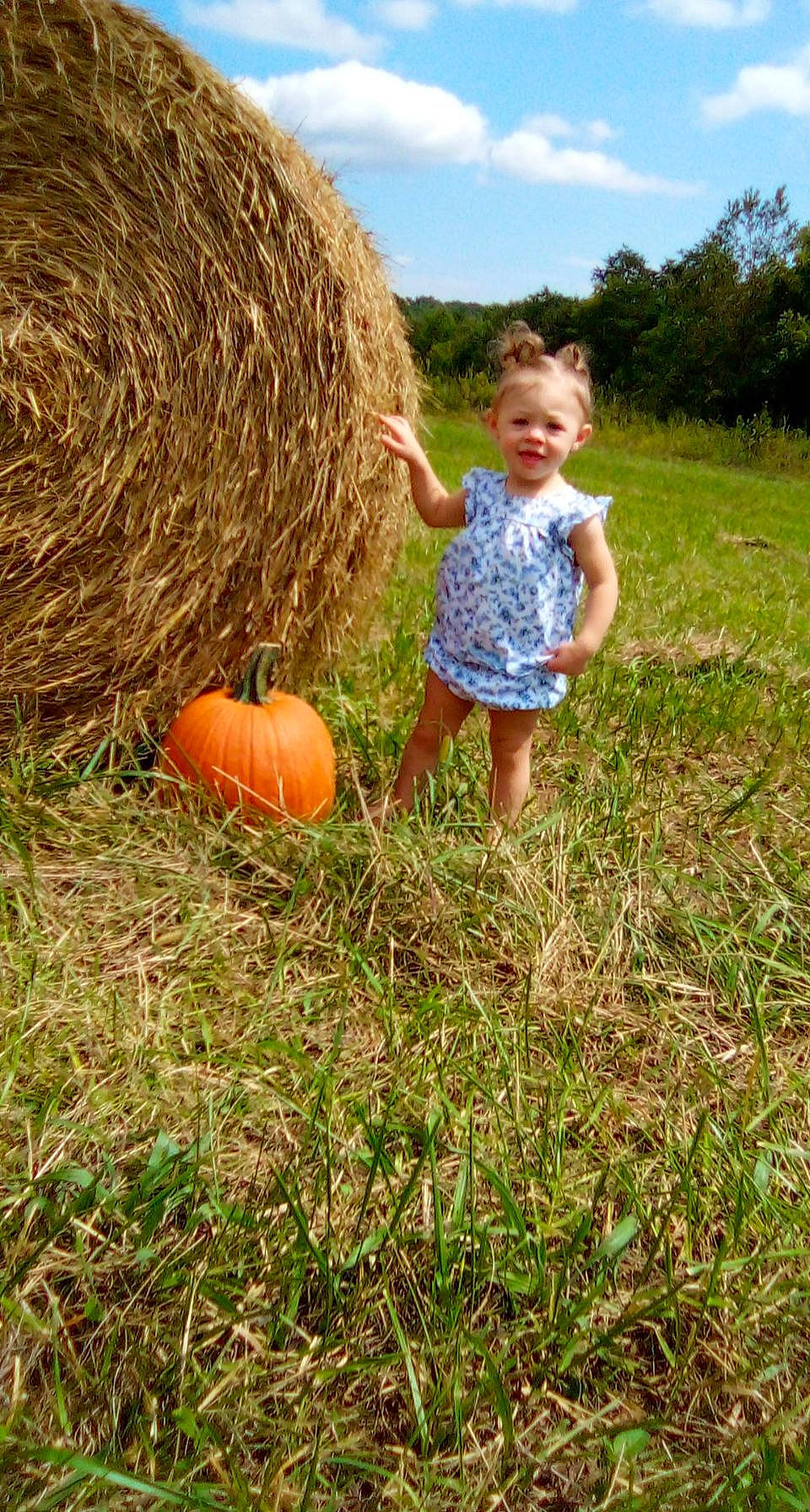 Barbara is registered to the contest to win money with this photo: agriculture, calabaza, cucurbita, gourd, grass, grass_family, grassland, happy, joy, mammal, meadow, natural_foods, people_in_nature, person, plant, pumpkin, shorts, sky, squash, toddler