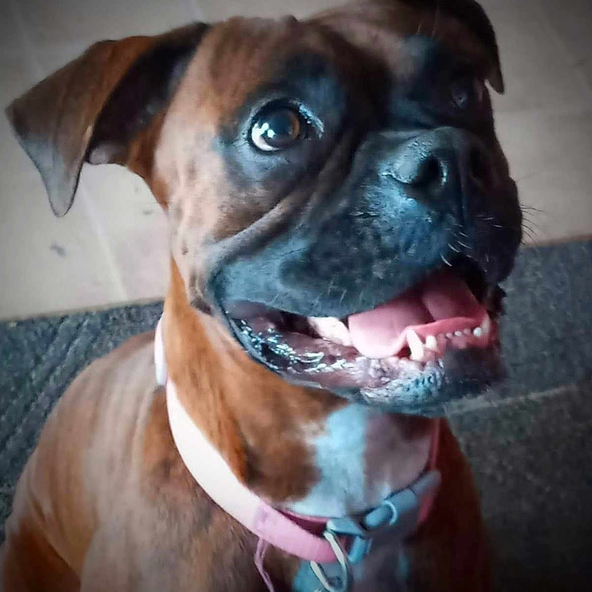 Zena