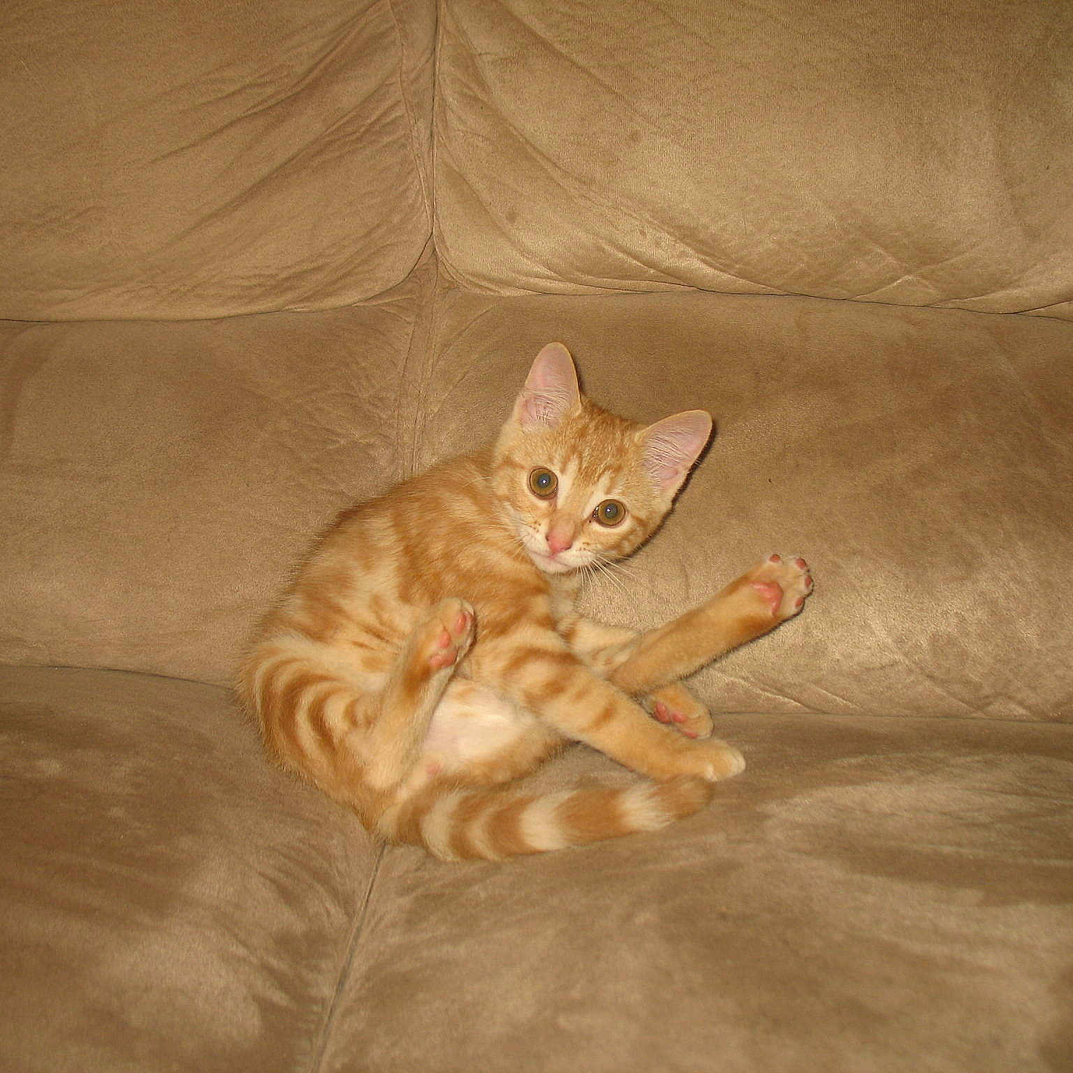 Choukette