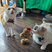 Tita joined the competition — help win amazing prizes! animal, bow_tie, cat, collar, curious, cute, domestic, ears, feline, flooring, fluffy_cat, gingerbread_doll, household, indoor, orange_cat, pet, playful, toy, whiskers, wooden_floor