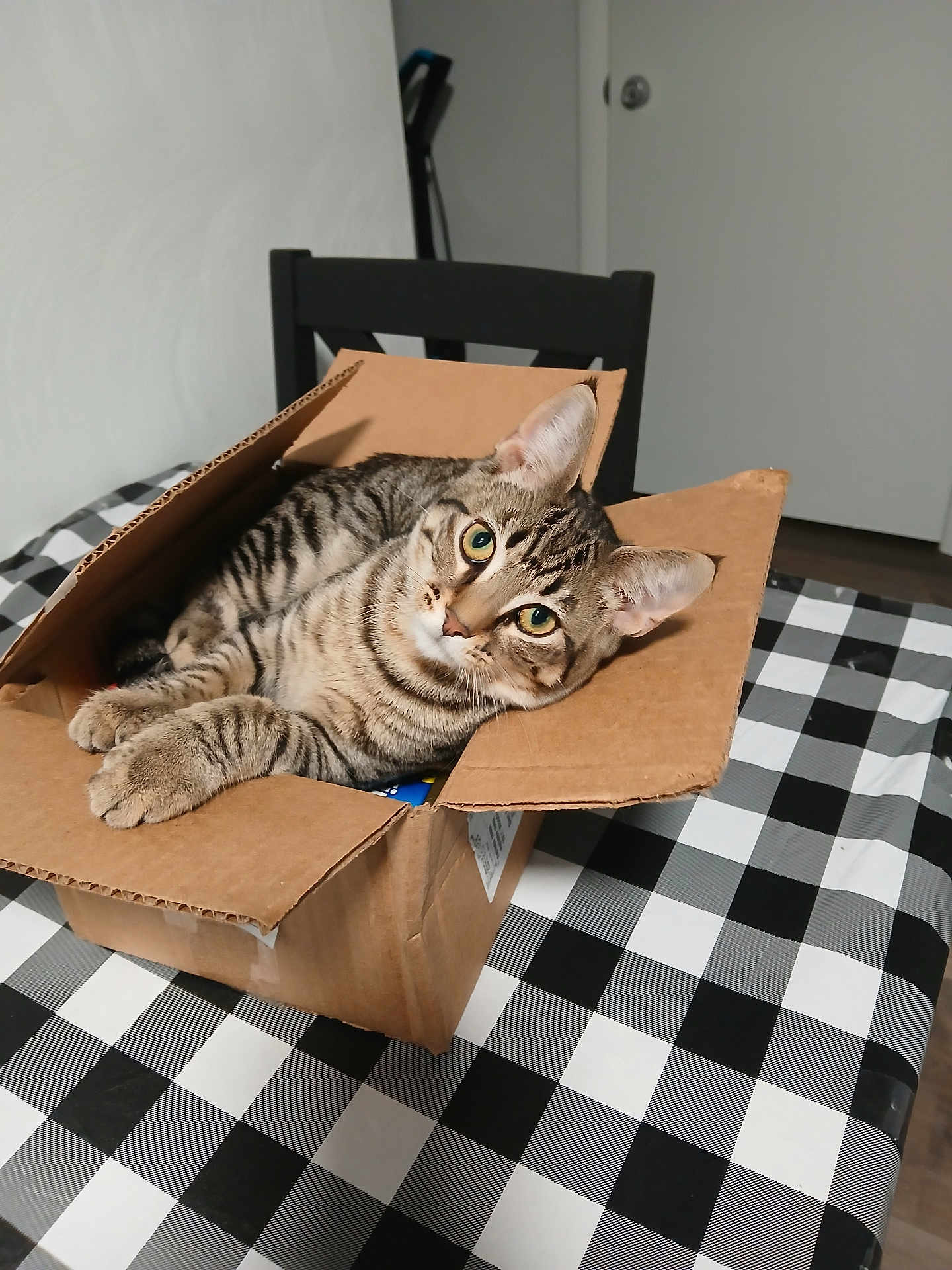Mittens