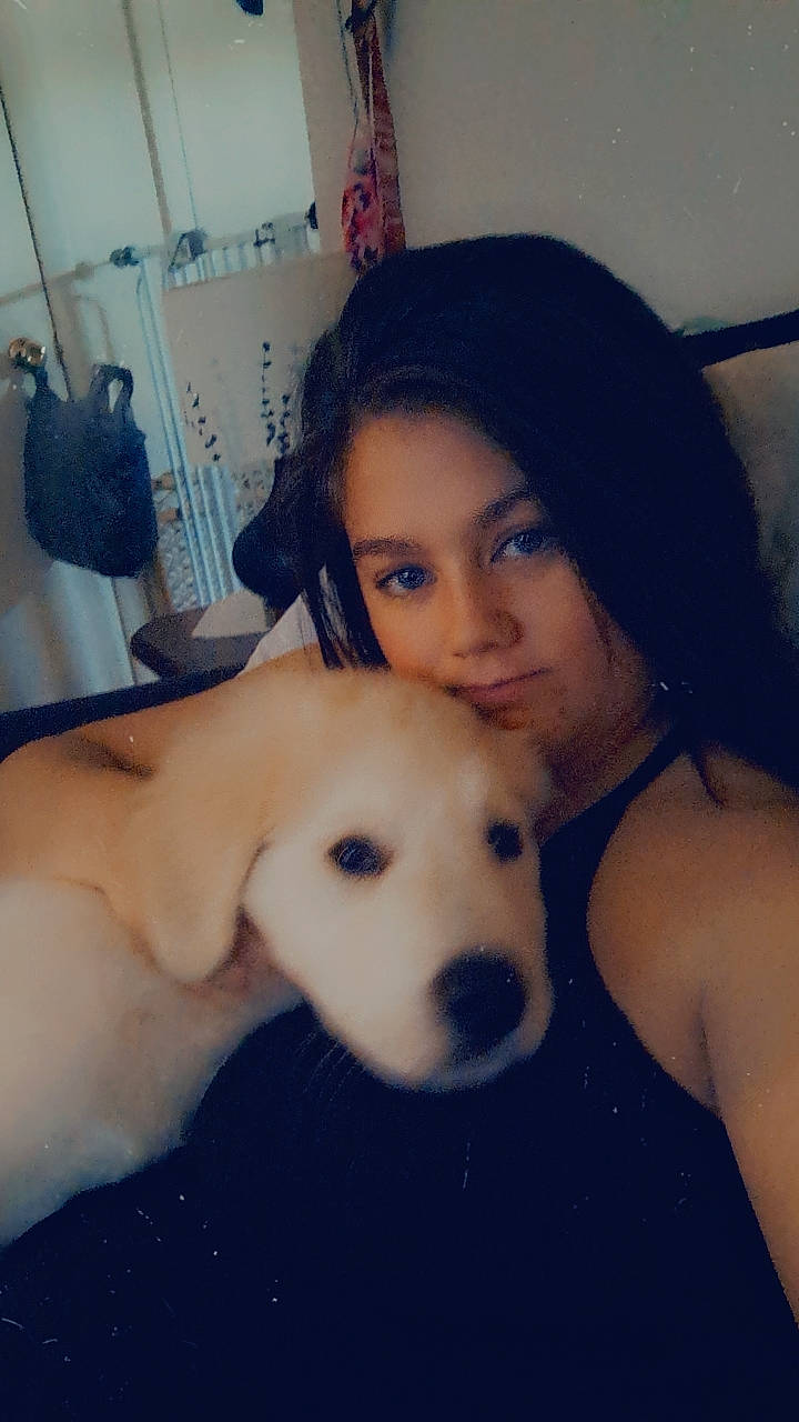 Pixie is registered to the contest to win money with this photo: abdomen, black_hair, carnivore, chest, companion_dog, cool, dog, dog_breed, ear, eyebrow, eyelash, face, fawn, gesture, happy, jaw, lip, selfie, skin, trunk