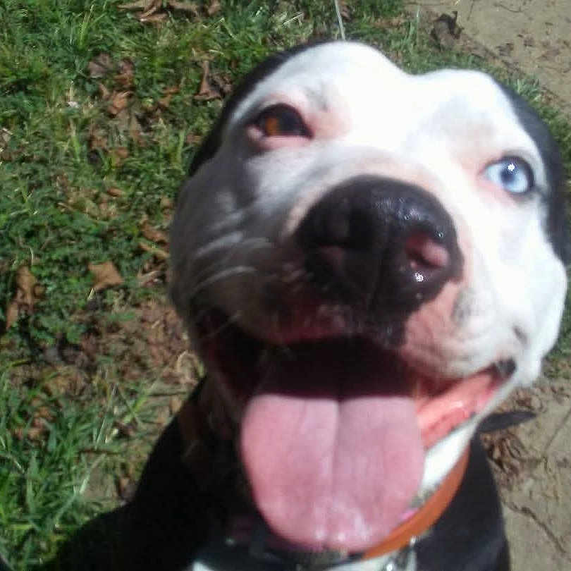 Bella