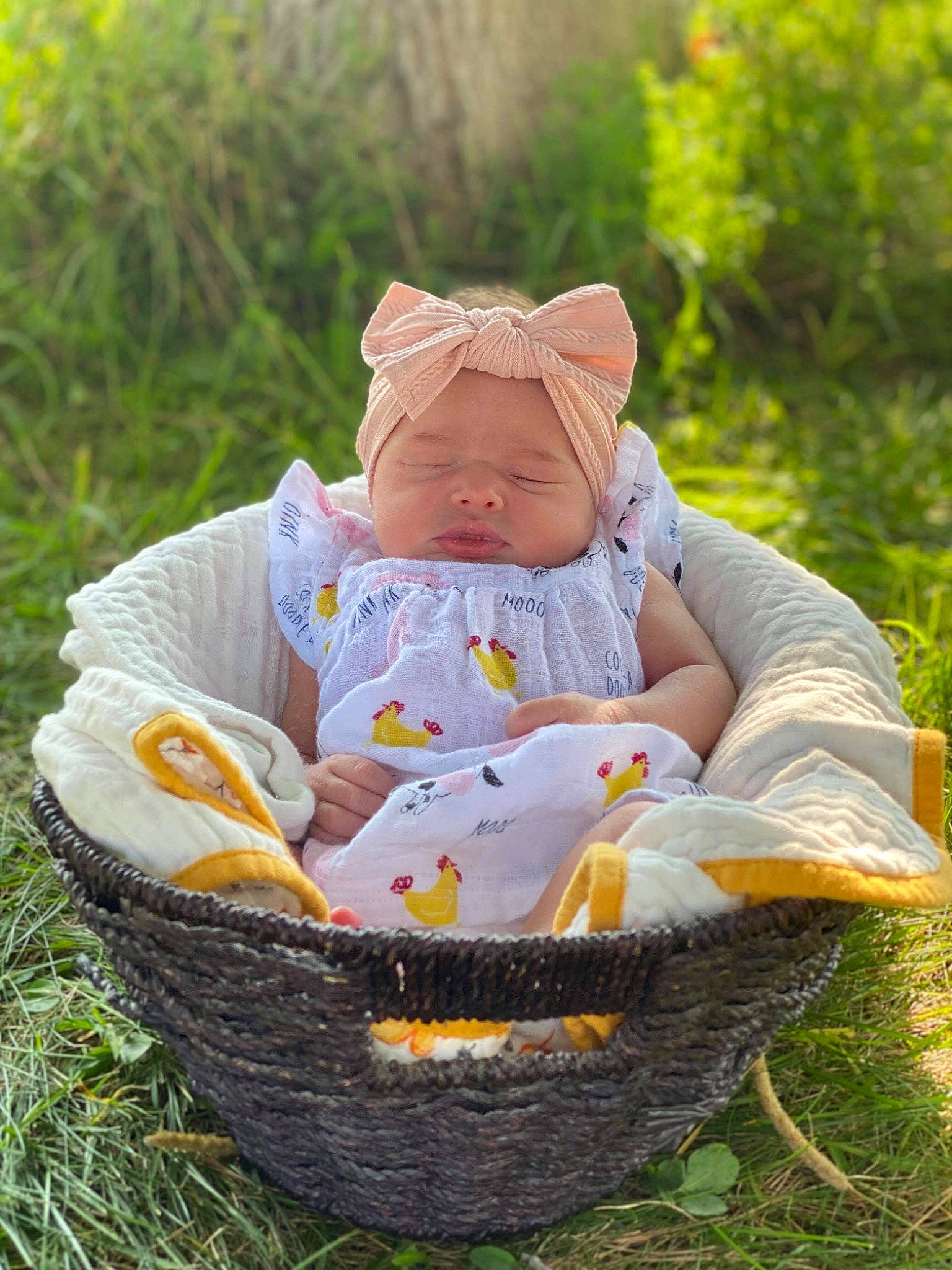 Ellie joined the competition — help win amazing prizes! baby, baby_products, baby_toddler_clothing, basket, chair, child, dress, fun, grass, grass_family, happy, hat, headgear, headwear, leisure, people_in_nature, person, plant, recreation, sitting