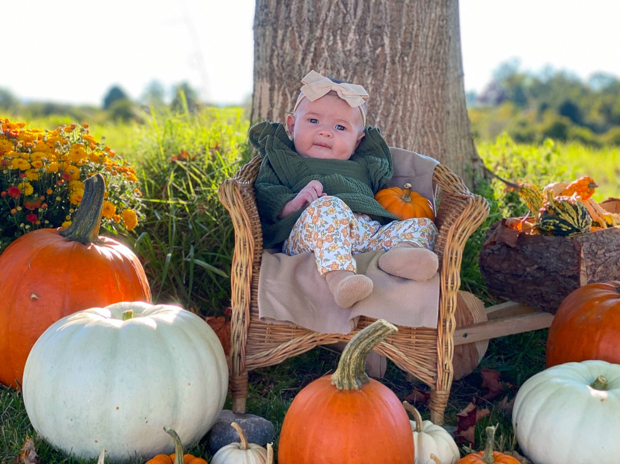 Ellie joined the competition — help win amazing prizes! calabaza, cucurbita, facial_expression, gourd, grass, green, happy, headwear, leaf, morning, natural_foods, nature, orange, people_in_nature, person, photograph, plant, pumpkin, squash, tree