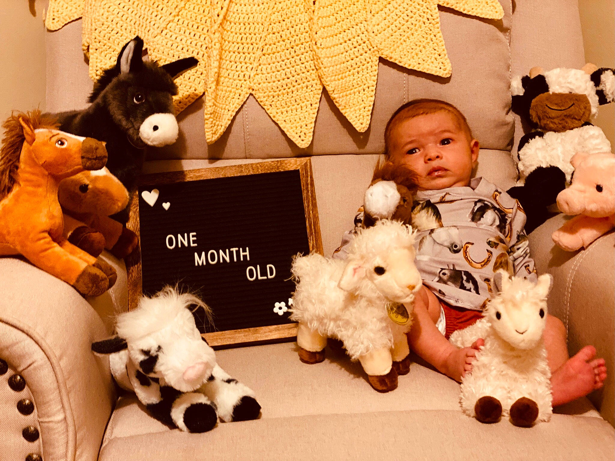 Ellie is registered to the contest to win money with this photo: art, collection, companion_dog, doll, fawn, fur, mammal, person, photograph, photography, plush, room, snapshot, stuffed_toy, teddy_bear, textile, toy, white, wood