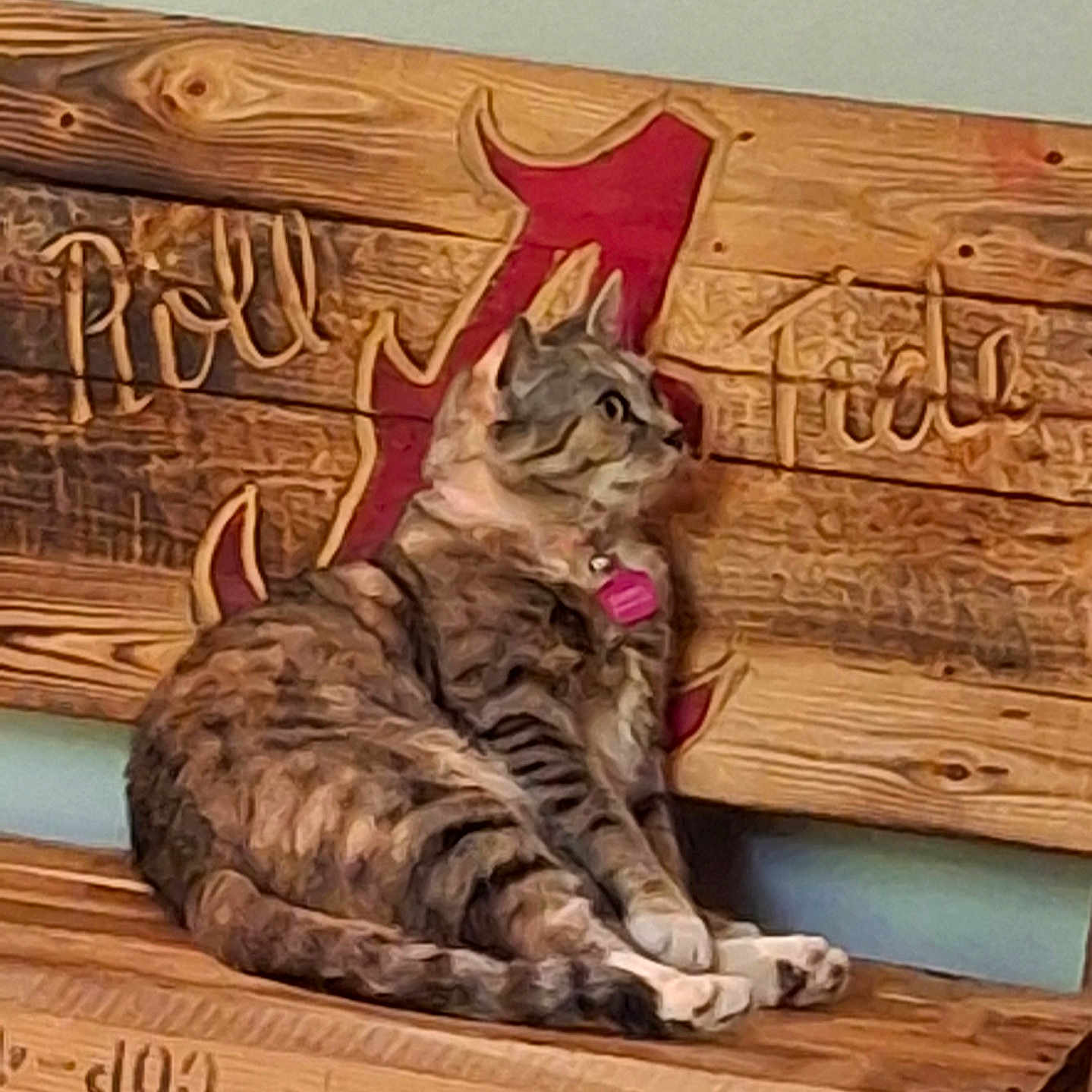 Harleigh Rain is registered to the contest to win money with this photo: animal, bench, carving, cat, collar, domestic_animal, feline, fur, indoor, looking, paw, pet, relaxed, resting, seat, side_view, striped, tabby_cat, tag, wood