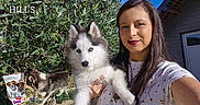 Boréal a rejoint le concours — aidez-le/la à gagner de superbes lots ! woman, person, puppy, dog, husky, siberian_husky, pet, animal, fluffy, blue_eyes, portrait, selfie, outdoor, garden, foliage, house, sunlight, pet_food, packaging, smiling