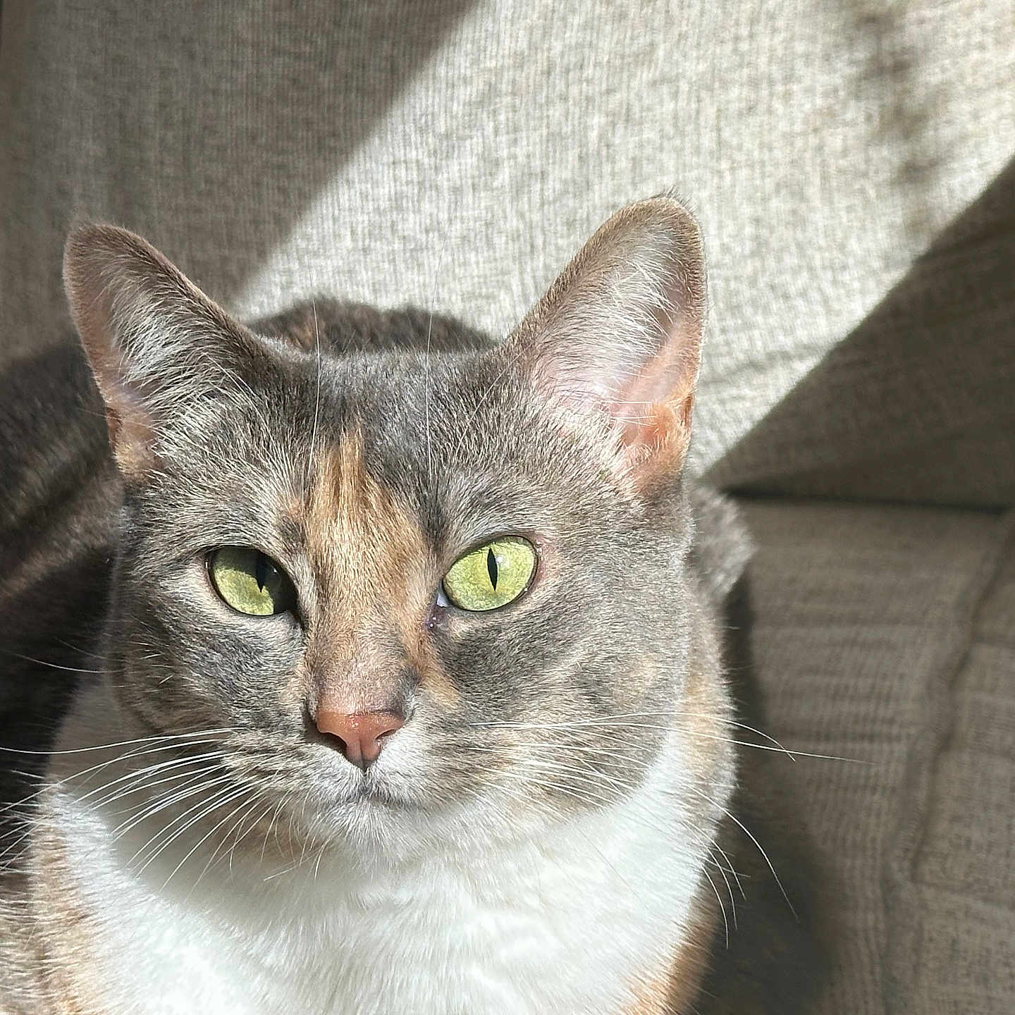 Marley