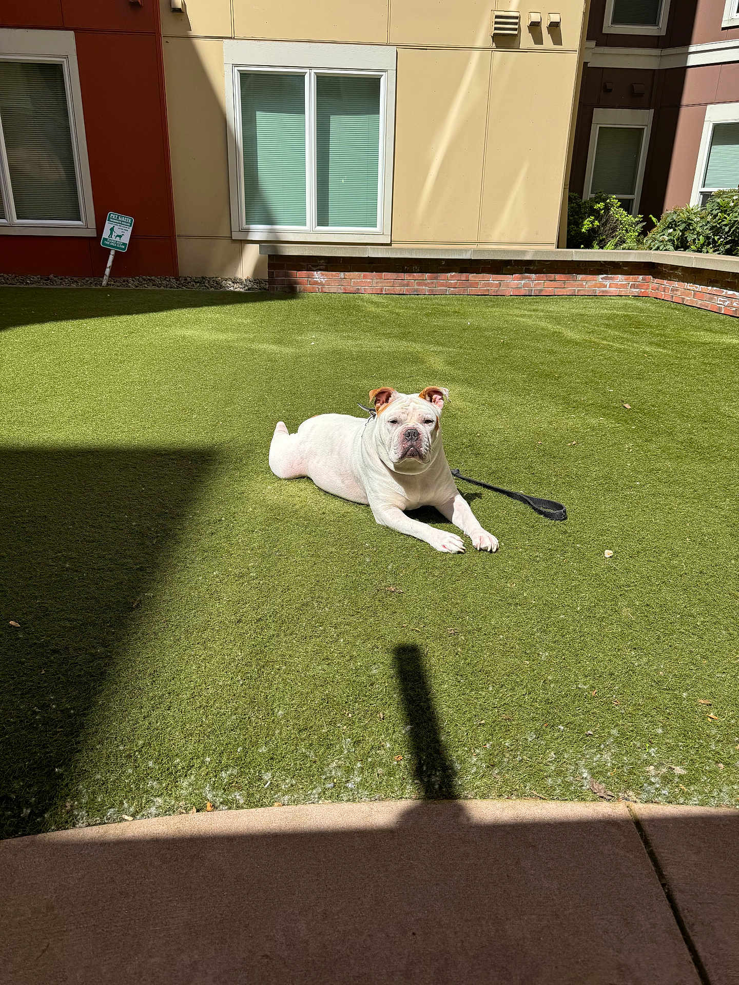 Rocco