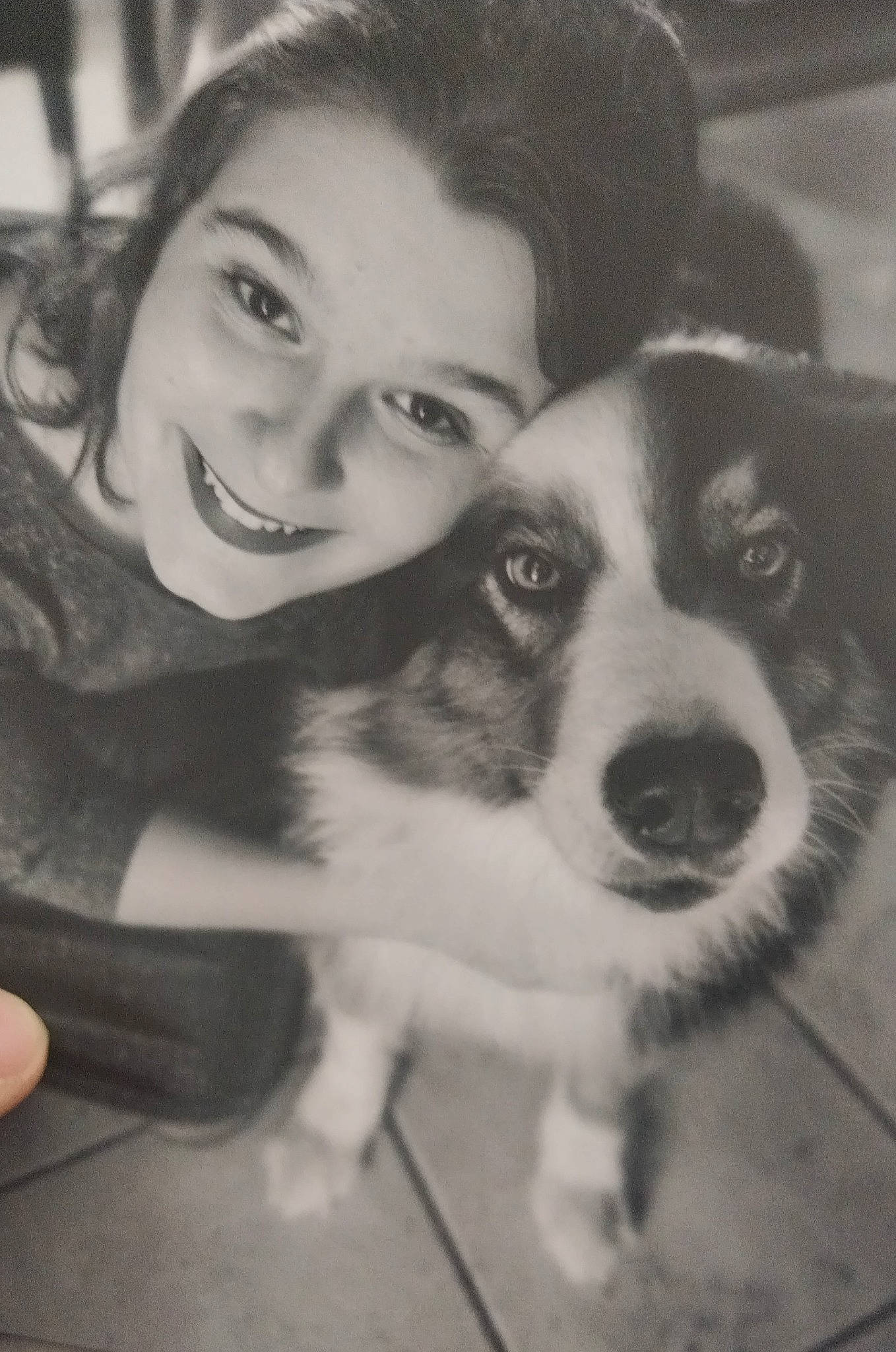 Kalhya participe au concours pour gagner de l'argent avec cette photo : black_and_white, canidae, carnivore, chair, companion_dog, dog, dog_breed, flash_photography, fun, fur, happy, love, monochrome, monochrome_photography, sitting, smile, sporting_group, style, vertebrate, whiskers