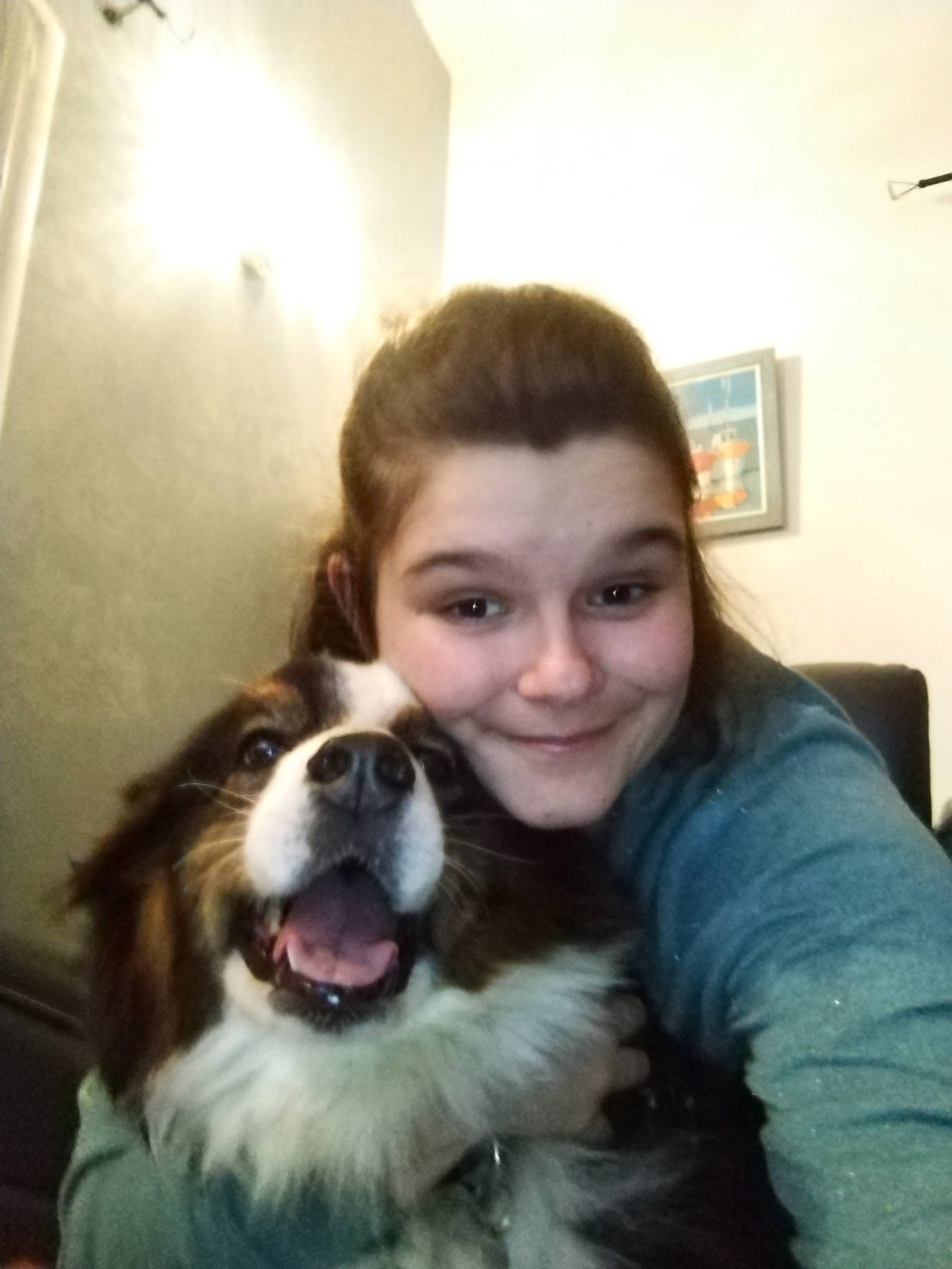 Kalhya participe au concours pour gagner de l'argent avec cette photo : canidae, carnivore, companion_dog, dog, dog_breed, fang, fun, fur, hair, happy, herding_dog, iris, jaw, mouth, nose, picture_frame, smile, snout, sporting_group, whiskers