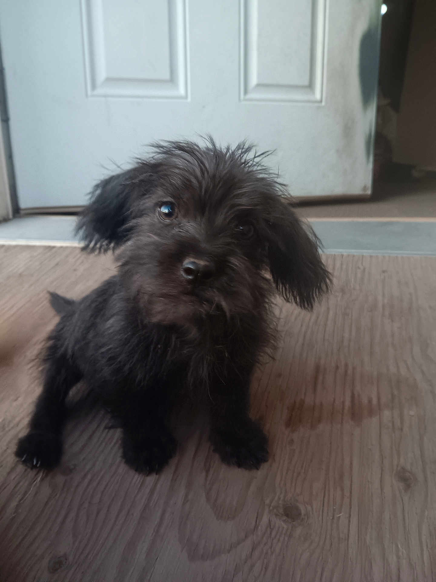 Einstein