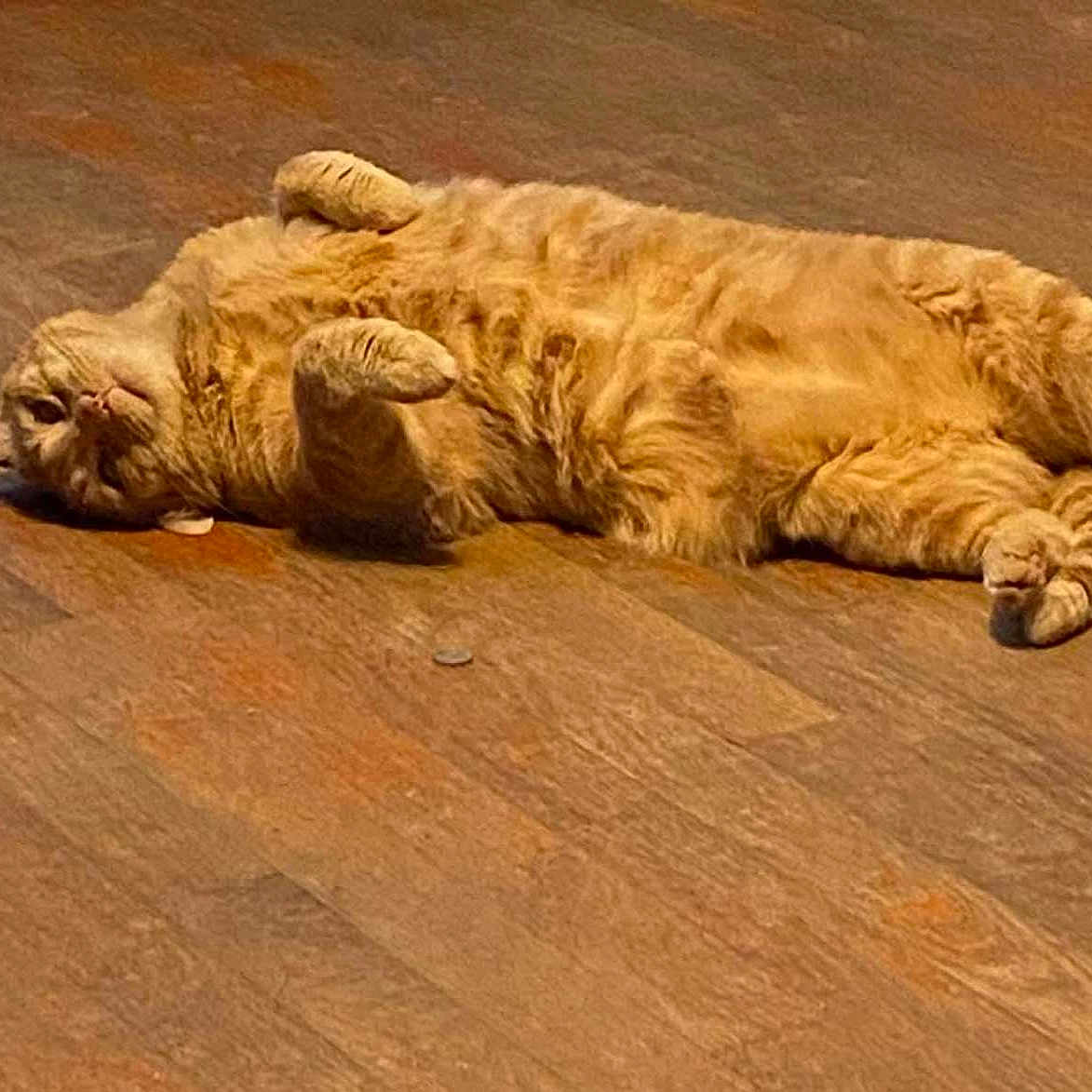 Oliver